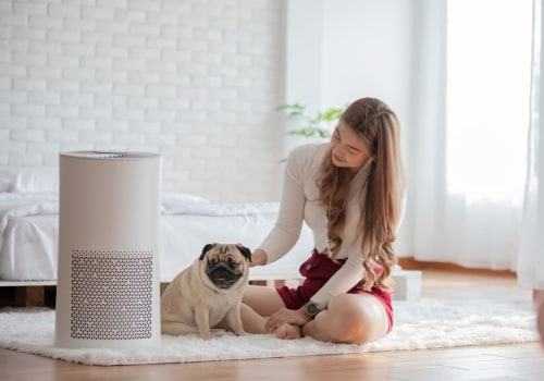 The Vital Role of Air Purifiers for Dusty Houses in Maintaining Cleaner Air After Attic Insulation Installation in Broward County FL for Long-Term Dust Control